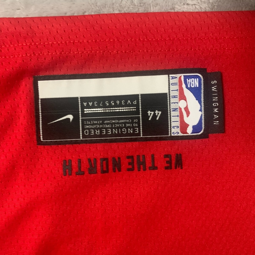 Authentic Nike Raptors Jersey - Picture 5 of 6